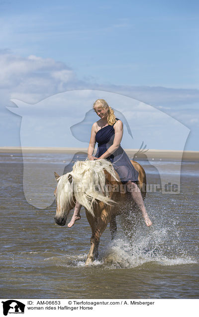 Frau reitet Haflinger / woman rides Haflinger Horse / AM-06653