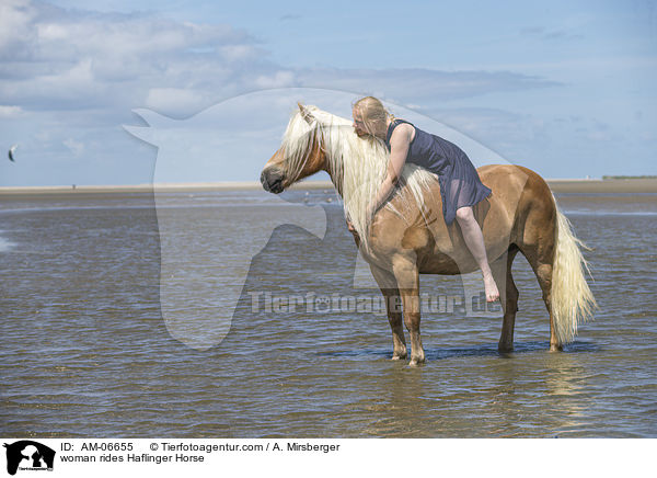Frau reitet Haflinger / woman rides Haflinger Horse / AM-06655