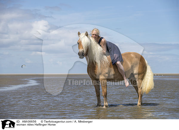 Frau reitet Haflinger / woman rides Haflinger Horse / AM-06656