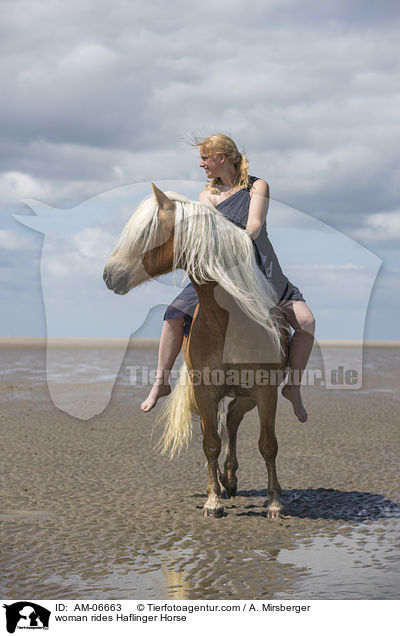 Frau reitet Haflinger / woman rides Haflinger Horse / AM-06663
