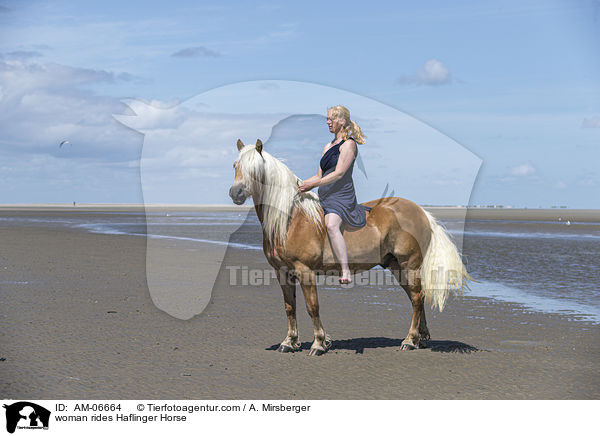 Frau reitet Haflinger / woman rides Haflinger Horse / AM-06664