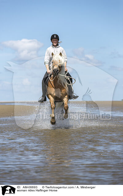 Frau reitet Haflinger / woman rides Haflinger Horse / AM-06693