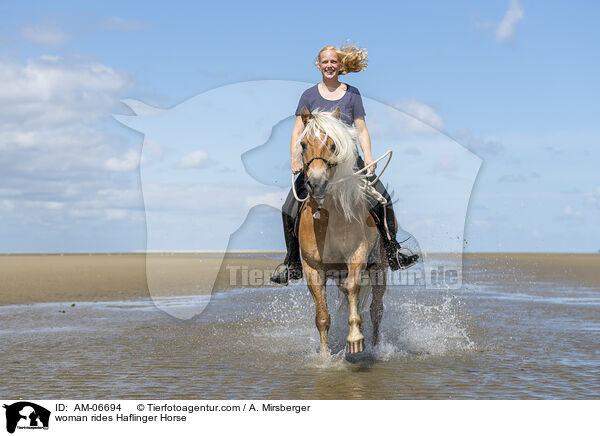 Frau reitet Haflinger / woman rides Haflinger Horse / AM-06694