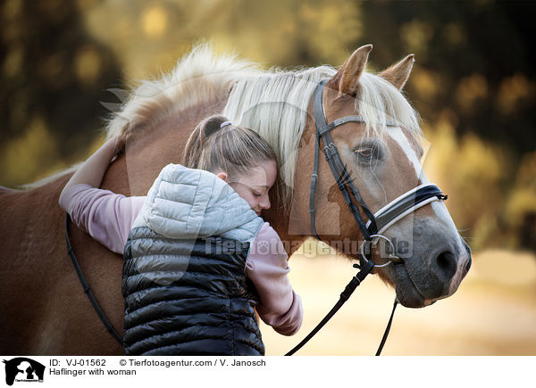 Haflinger mit Frau / Haflinger with woman / VJ-01562