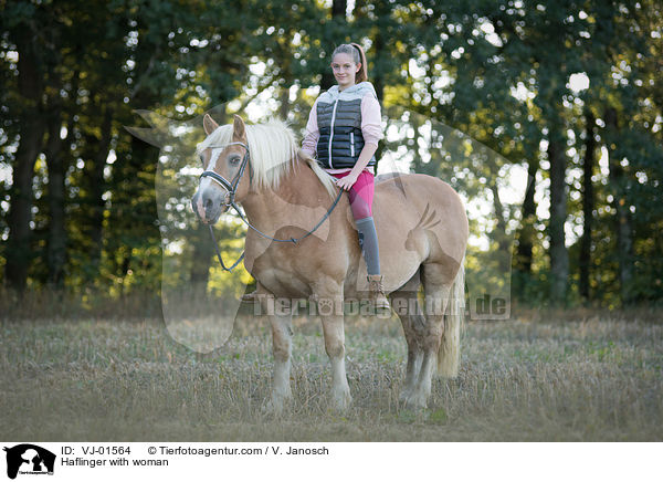Haflinger mit Frau / Haflinger with woman / VJ-01564