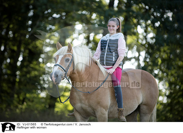 Haflinger mit Frau / Haflinger with woman / VJ-01565