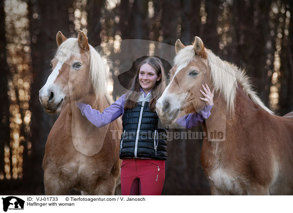 Haflinger mit Frau / Haflinger with woman / VJ-01733