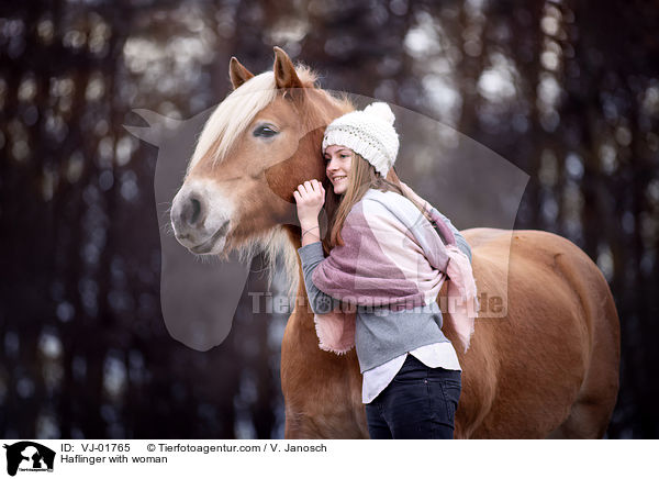 Haflinger mit Frau / Haflinger with woman / VJ-01765
