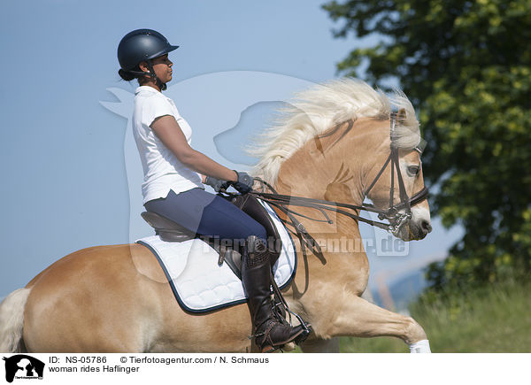 woman rides Haflinger / NS-05786