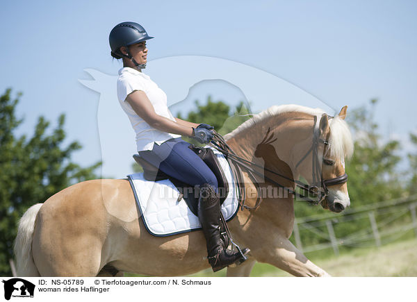 woman rides Haflinger / NS-05789