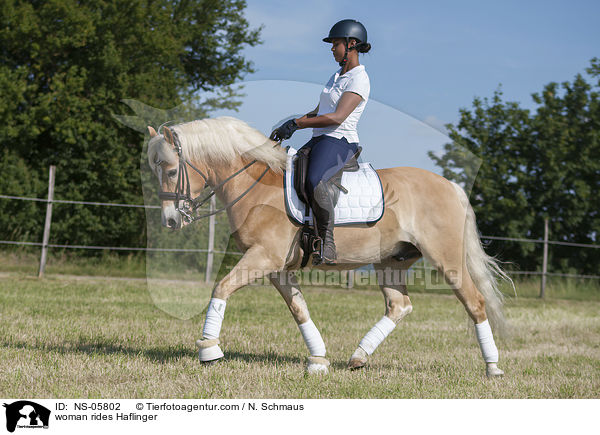 Frau reitet Haflinger / woman rides Haflinger / NS-05802