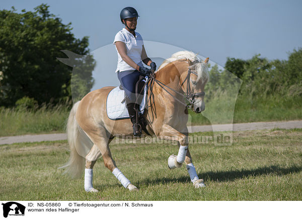 woman rides Haflinger / NS-05860