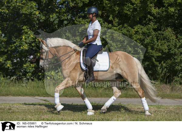 woman rides Haflinger / NS-05861