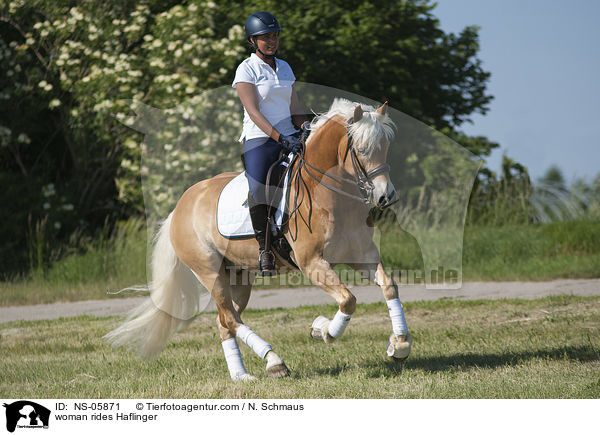 Frau reitet Haflinger / woman rides Haflinger / NS-05871