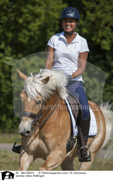 woman rides Haflinger / NS-05872