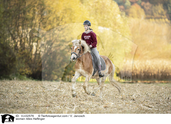 Frau reitet Haflinger / woman rides Haflinger / VJ-02576