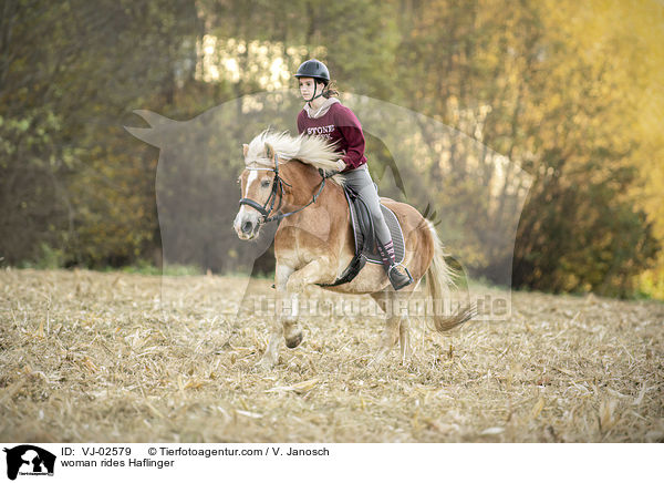 Frau reitet Haflinger / woman rides Haflinger / VJ-02579