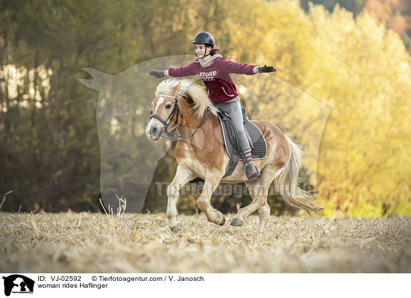 Frau reitet Haflinger / woman rides Haflinger / VJ-02592