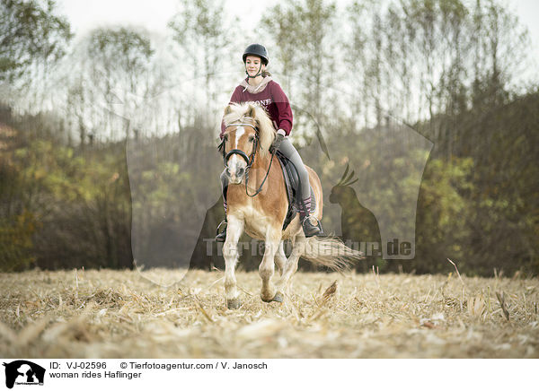 Frau reitet Haflinger / woman rides Haflinger / VJ-02596