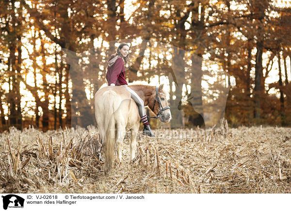 Frau reitet Haflinger / woman rides Haflinger / VJ-02618