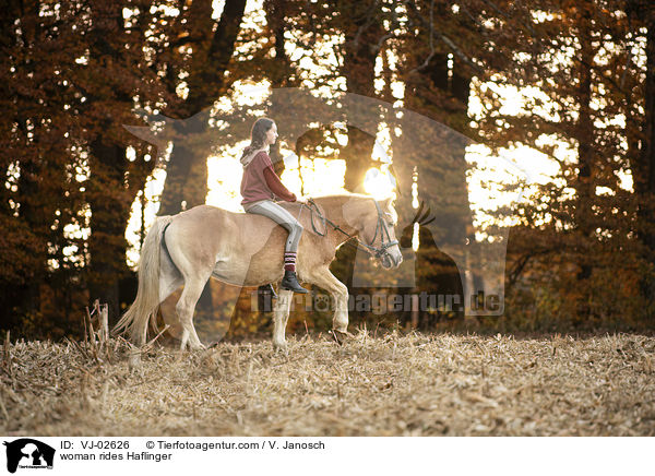 Frau reitet Haflinger / woman rides Haflinger / VJ-02626