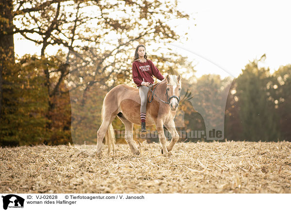 Frau reitet Haflinger / woman rides Haflinger / VJ-02628