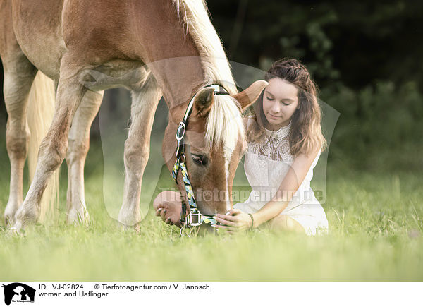 Frau und Haflinger / woman and Haflinger / VJ-02824