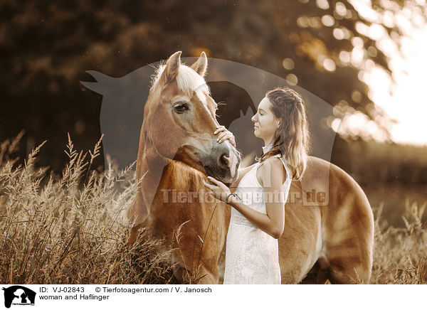 Frau und Haflinger / woman and Haflinger / VJ-02843