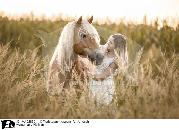 Frau und Haflinger / woman and Haflinger / VJ-02856