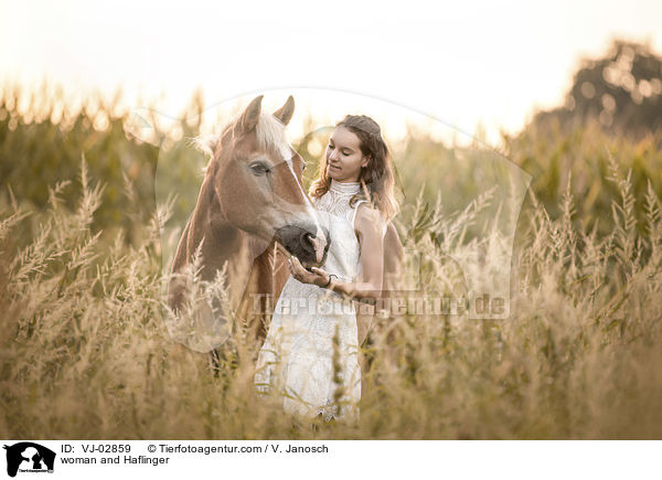 Frau und Haflinger / woman and Haflinger / VJ-02859