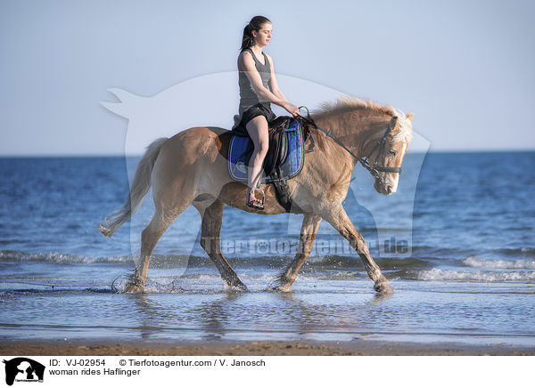 Frau reitet Haflinger / woman rides Haflinger / VJ-02954