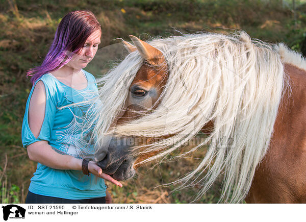 woman and Haflinger / SST-21590