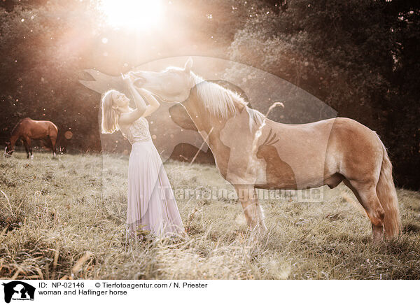 Frau und Haflinger / woman and Haflinger horse / NP-02146