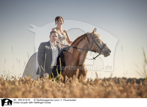 Hochzeitspaar mit Haflinger / bridal couple with Haflinger horse / IFE-01210