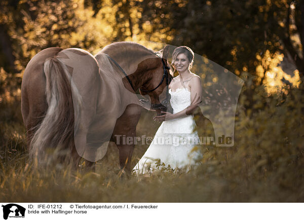 Braut mit Haflinger / bride with Haflinger horse / IFE-01212