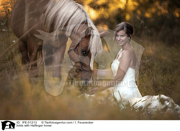 Braut mit Haflinger / bride with Haflinger horse / IFE-01213