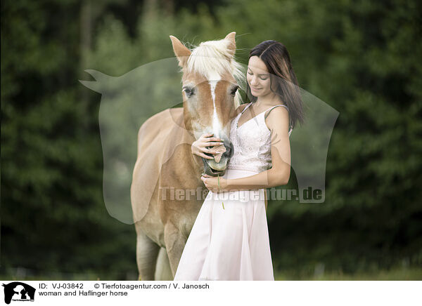 Frau und Haflinger / woman and Haflinger horse / VJ-03842