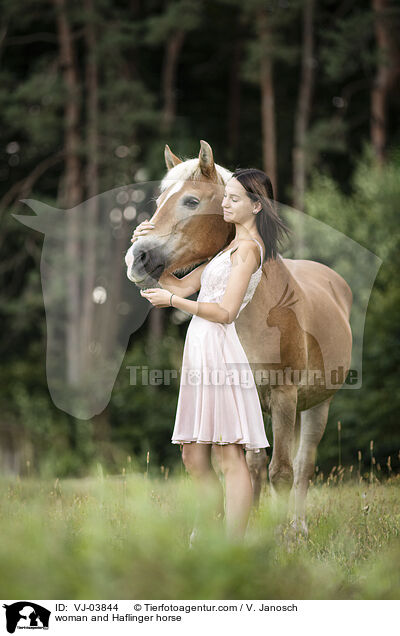Frau und Haflinger / woman and Haflinger horse / VJ-03844