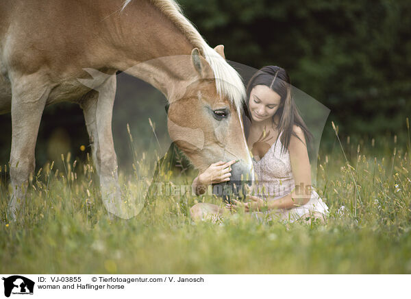 Frau und Haflinger / woman and Haflinger horse / VJ-03855
