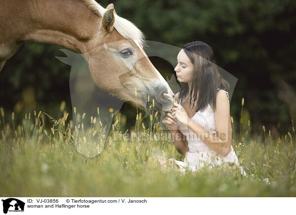 woman and Haflinger horse / VJ-03856