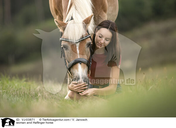 woman and Haflinger horse / VJ-03871