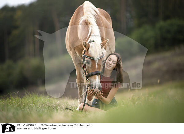 Frau und Haflinger / woman and Haflinger horse / VJ-03873