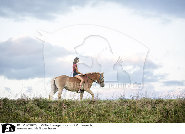 Frau und Haflinger / woman and Haflinger horse / VJ-03875