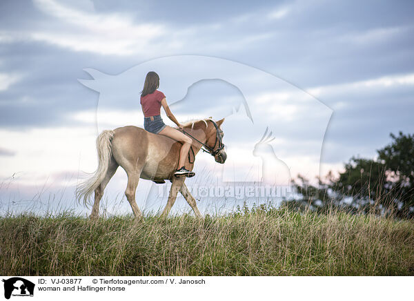 Frau und Haflinger / woman and Haflinger horse / VJ-03877