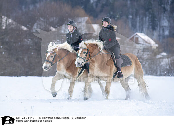 Reiter mit Haflingern / riders with Haflinger horses / VJ-04148