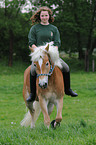 woman with Haflinger horse