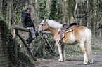 woman and haflinger horse