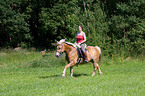 woman rides Haflinger horse