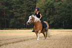 woman rides Haflinger horse