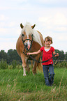 girl with Haflinger horse